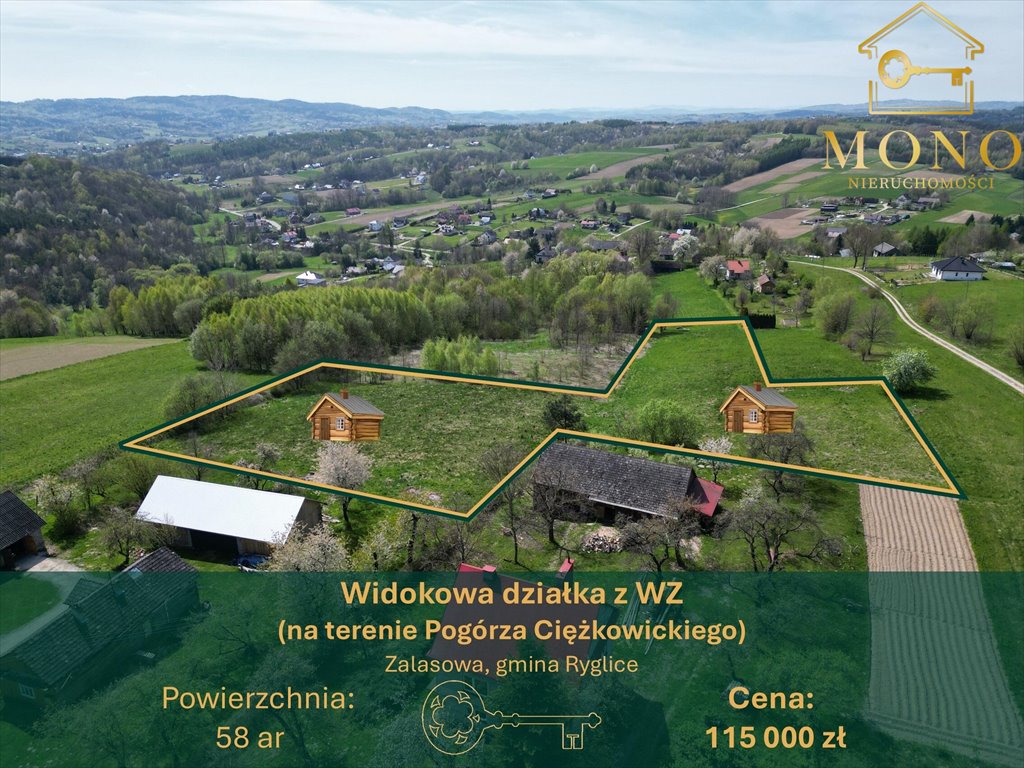 Malownicza działka 58 ar z widokiem na góry i lasy Zalasowa  5 800m2 Foto 1
