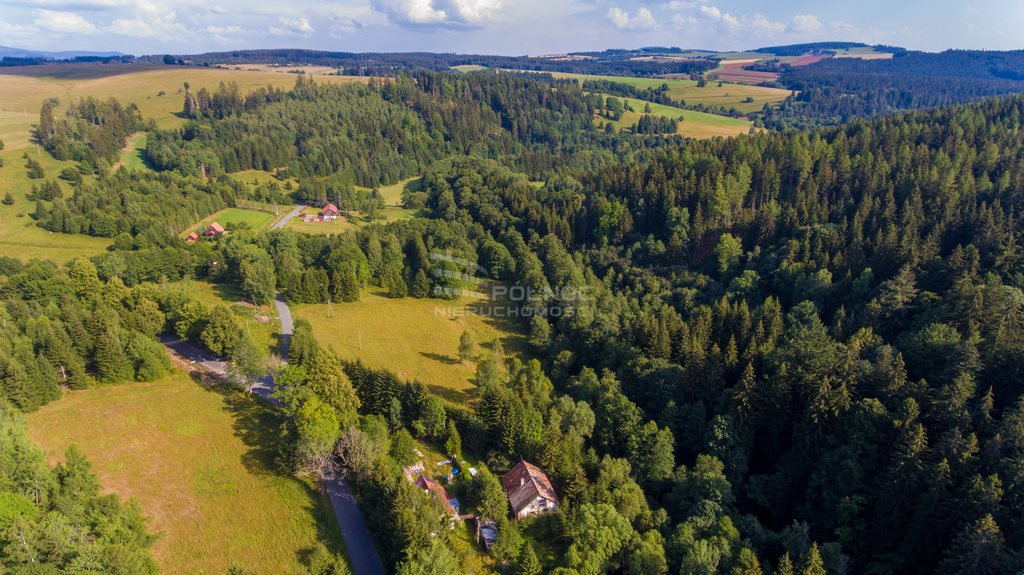 Dom na sprzedaż Niemojów  100m2 Foto 13