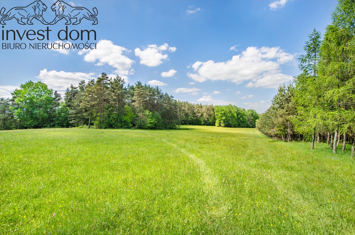 Działka leśna na sprzedaż Brunary  30 301m2 Foto 12