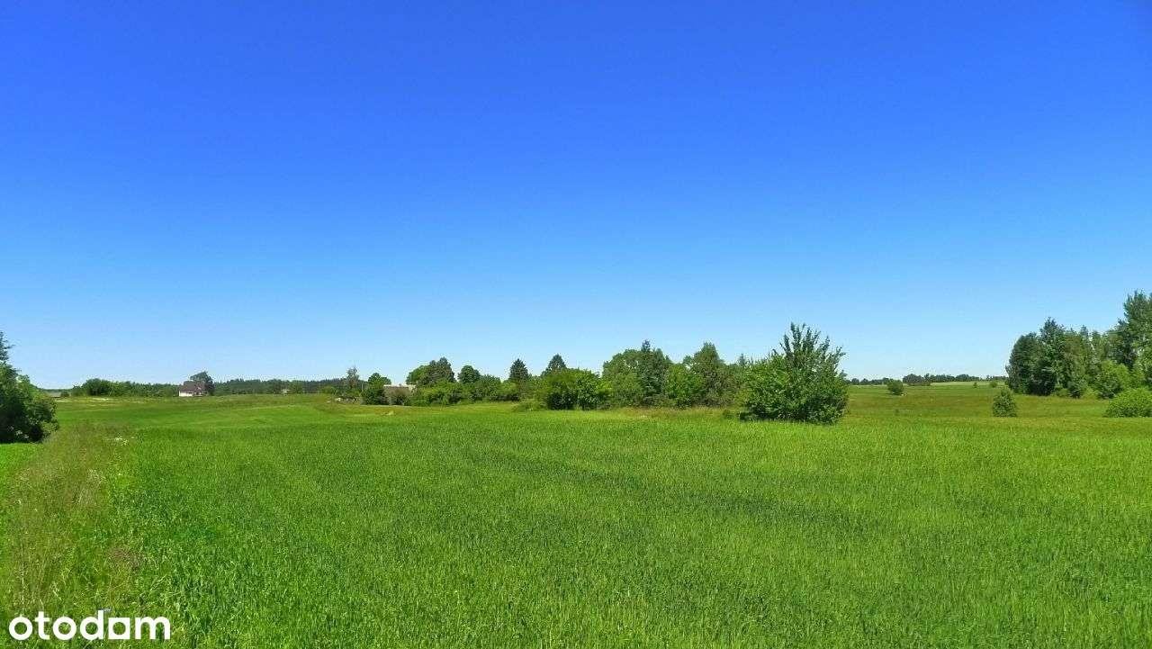 Działka rolna na sprzedaż Krasnopol  3 000m2 Foto 4