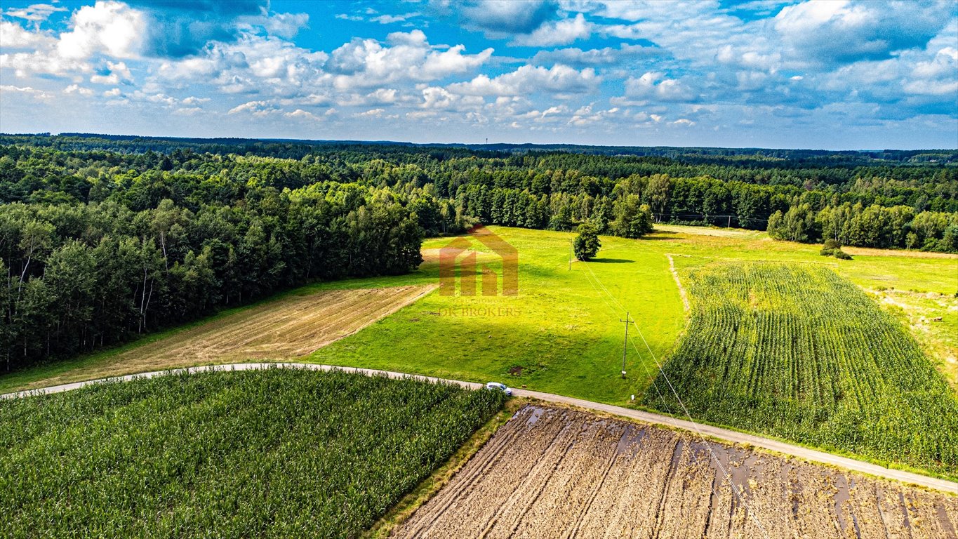 Działka budowlana na sprzedaż Kamionka  4 700m2 Foto 14