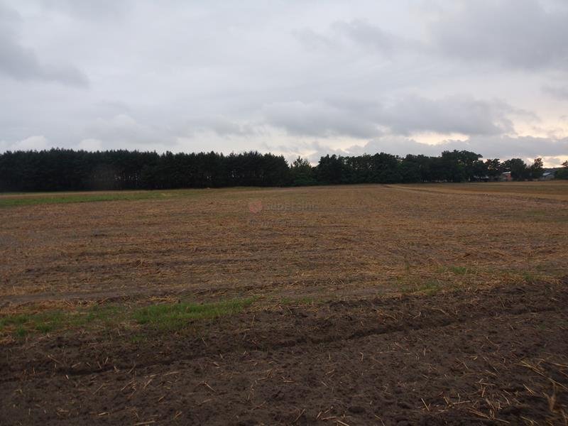 Działka 3674 m² z warunkami zabudowy, media, lasy Przywory  3 674m2 Foto 1