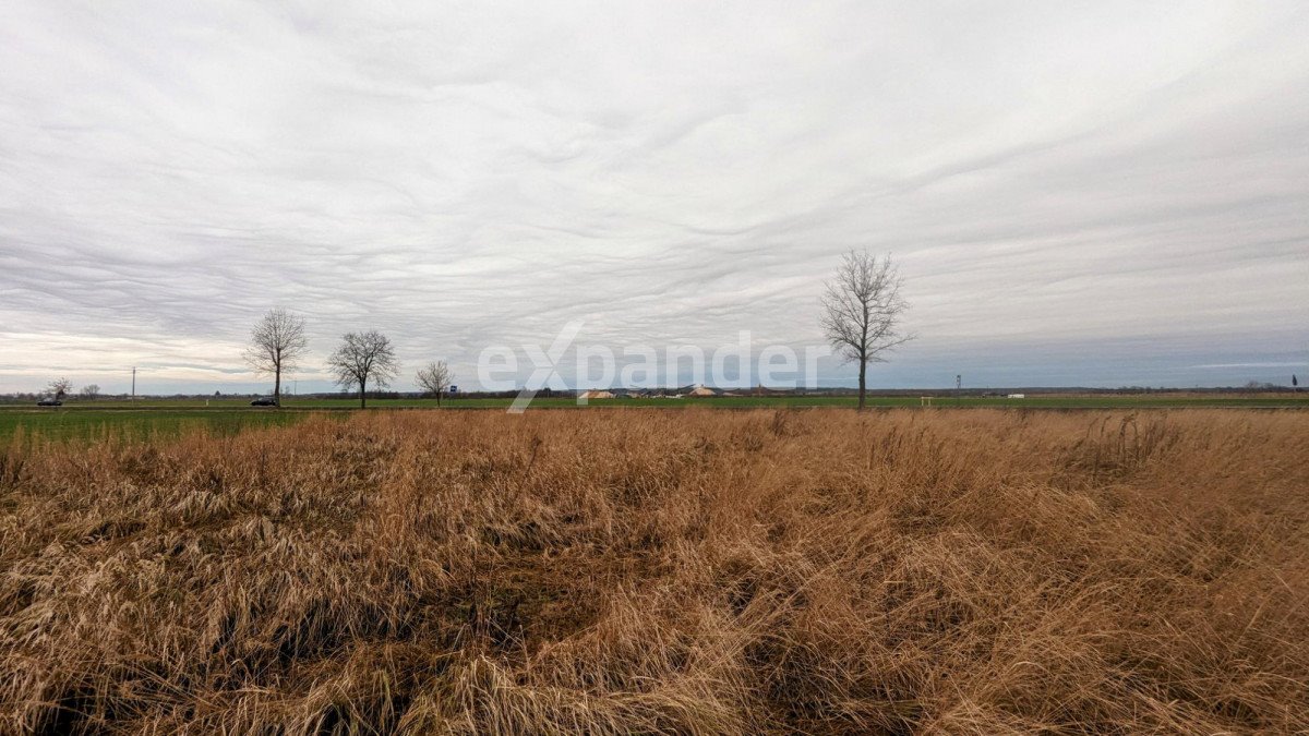 Działka przemysłowo-handlowa na sprzedaż Kunice  4 300m2 Foto 1