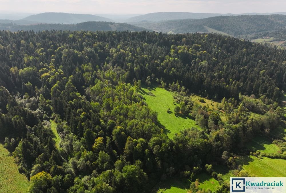 Działka rolna na sprzedaż Ropienka, Ropienka Dolna  37 796m2 Foto 4