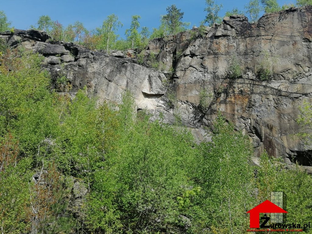 Lokal użytkowy na sprzedaż Paczków, Gościce  58 057m2 Foto 1