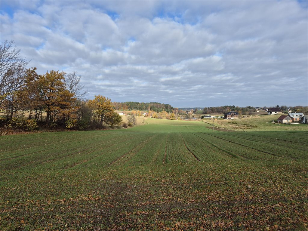 Działka budowlana na sprzedaż Barłomino  10 400m2 Foto 12