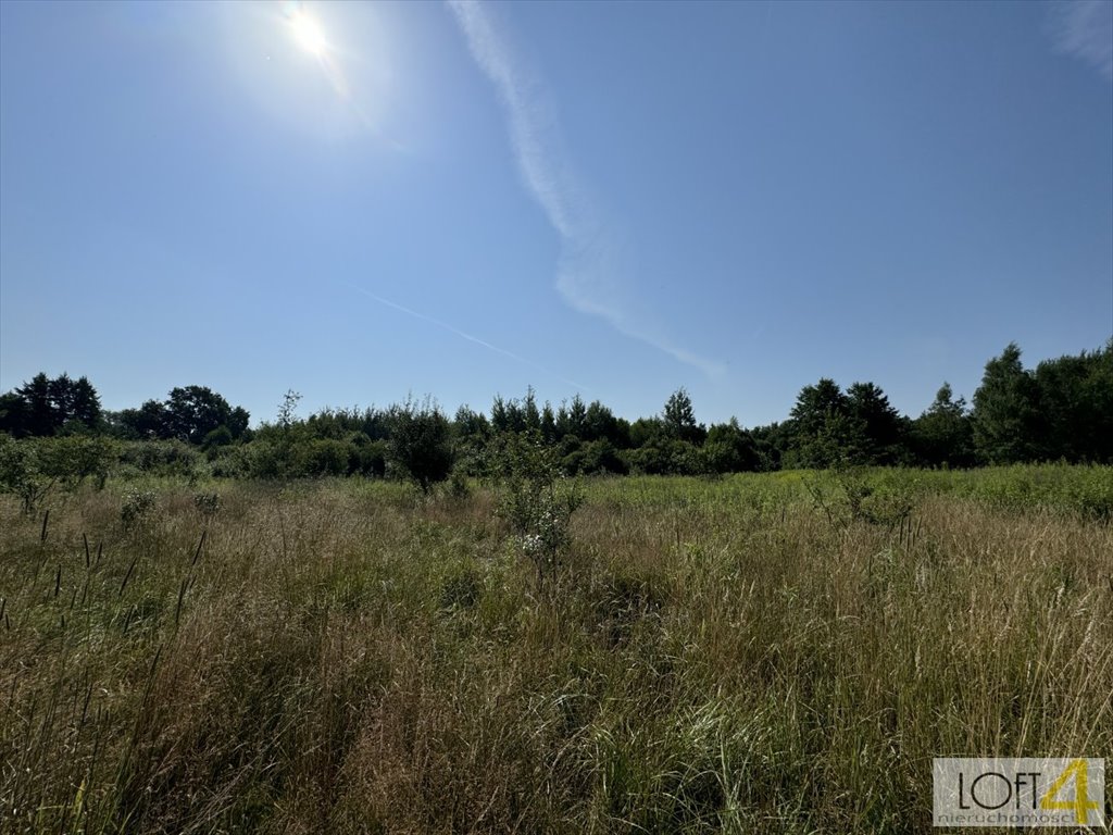 Działka budowlana na sprzedaż Łęki  3 600m2 Foto 6