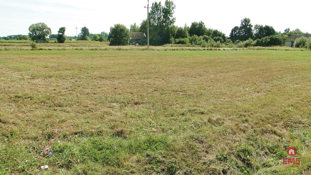 Działka budowlana 1500 m² z warunkami zabudowy, prąd i internet Hołówki Duże  1 500m2 Foto 1