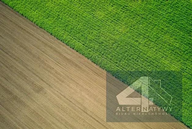 Działka inwestycyjna na sprzedaż Strzelce Opolskie  66 000m2 Foto 3