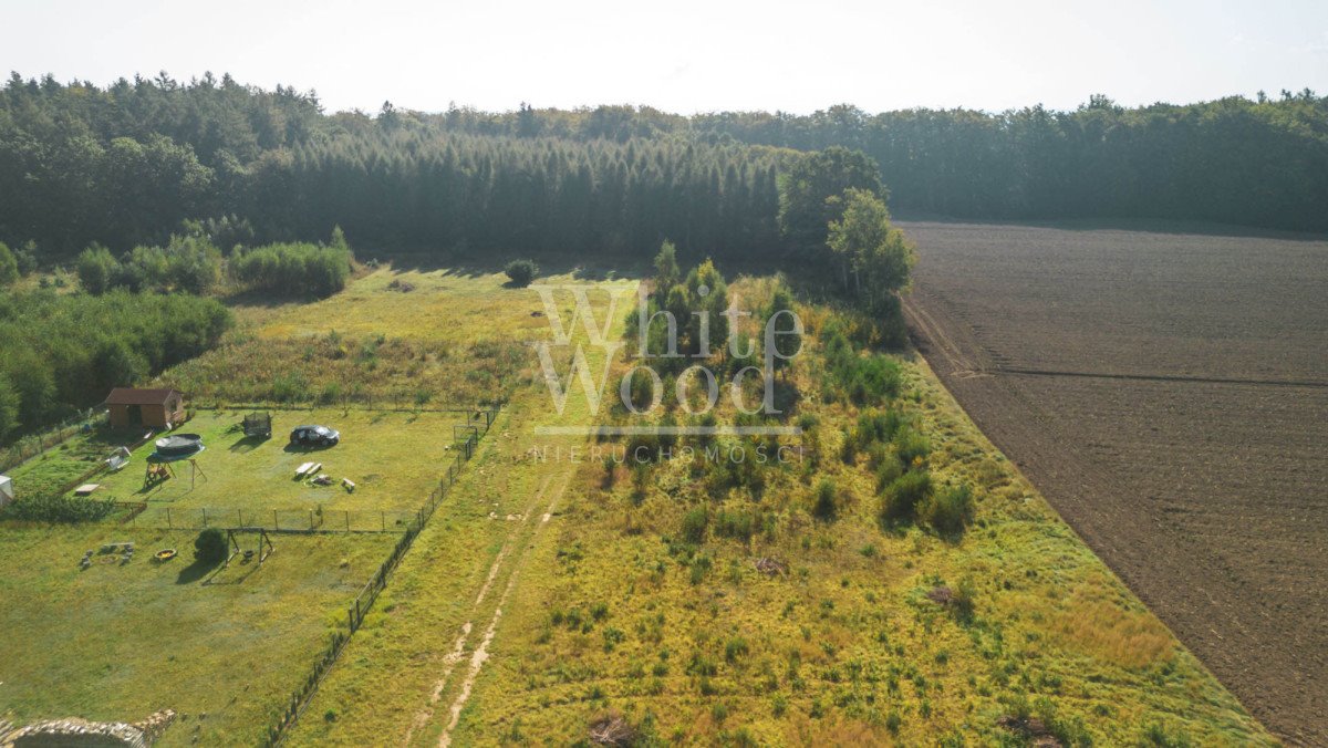 Działka budowlana na sprzedaż Połchowo  1 000m2 Foto 5