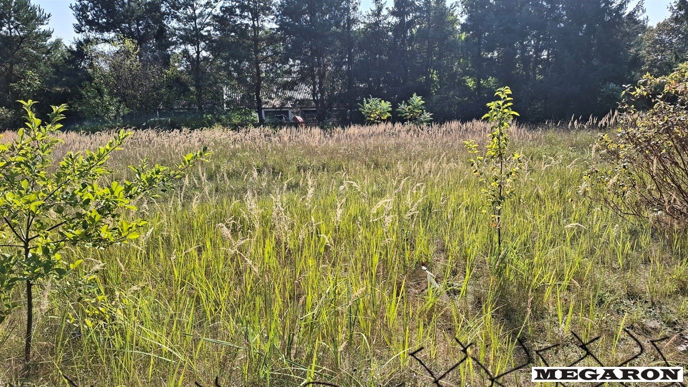 Działka budowlana na sprzedaż Częstochowa, Lisiniec  1 480m2 Foto 3