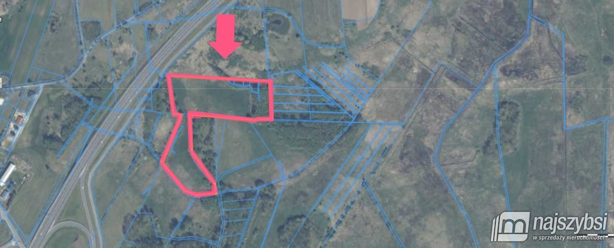 Działka rolna 3,45 ha z lasami i dostępem do drogi S6 Nowogard, obrzeża  34 500m2 Foto 1