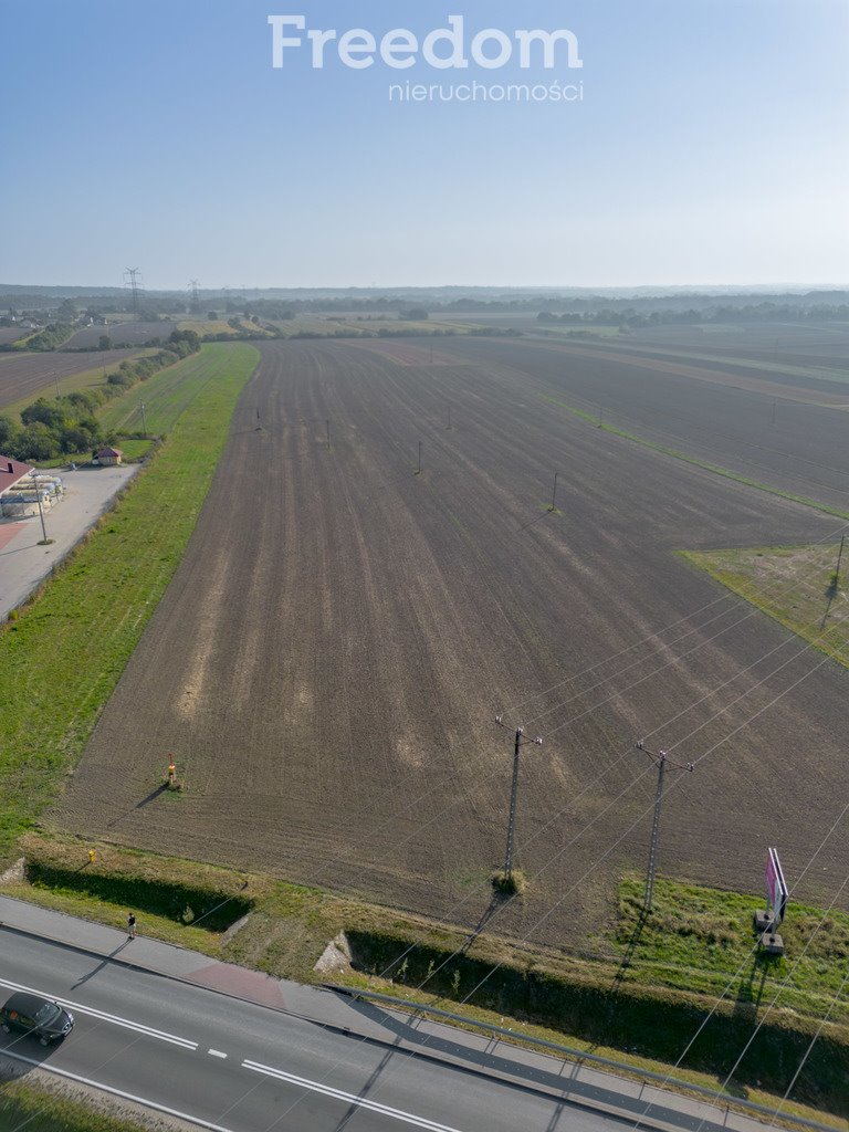 Działka inwestycyjna na sprzedaż Żabno  10 000m2 Foto 10