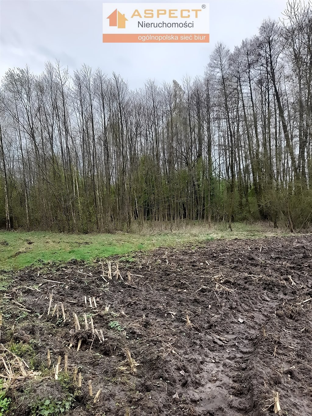 Dom na sprzedaż Nowe Piekuty  60m2 Foto 7