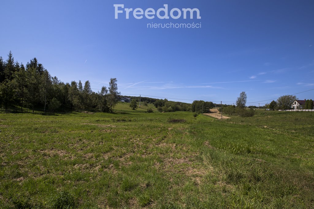 Działka budowlana na sprzedaż Harta  2 554m2 Foto 1