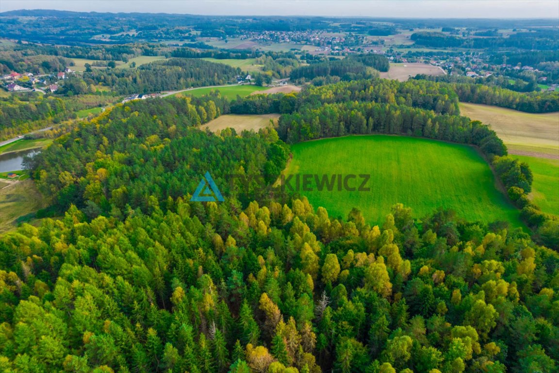 Działka rolna na sprzedaż Gołubie  102 067m2 Foto 2