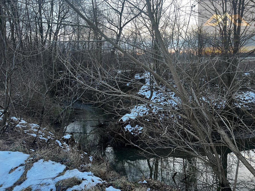 Działka rolna na sprzedaż Perła  2 600m2 Foto 7