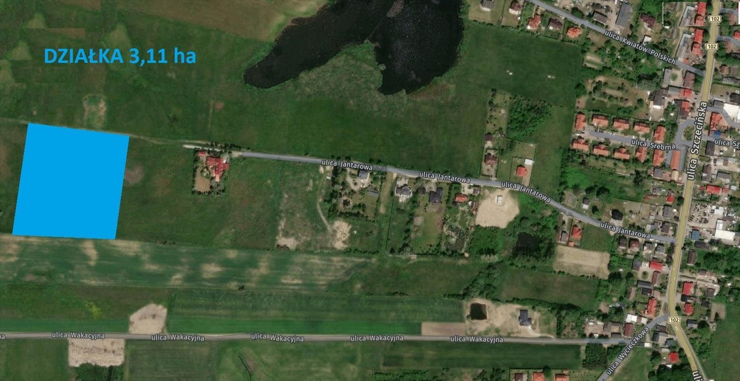 Działka rolna na sprzedaż Zieleniewo, Jantarowa  31 100m2 Foto 2