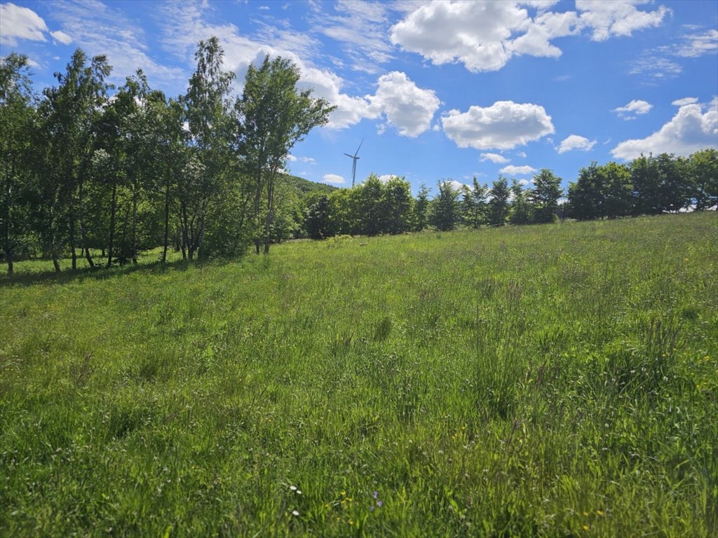 Dom na sprzedaż Wolica, Wolica  110m2 Foto 9