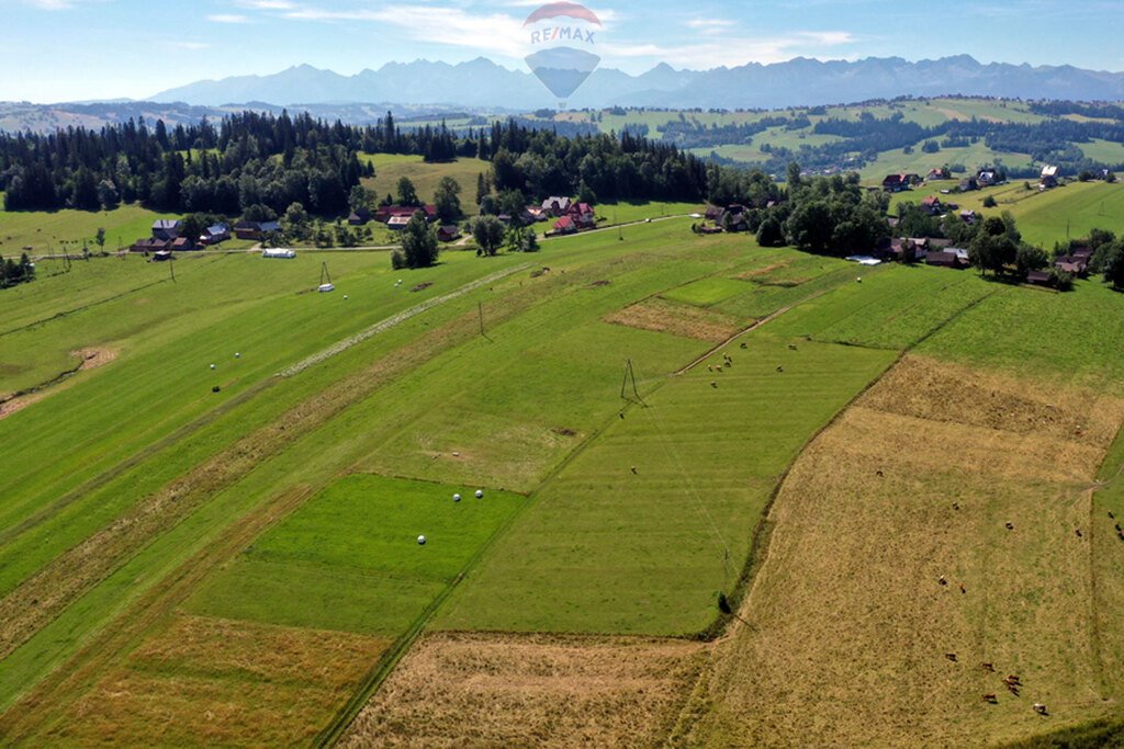 Działka budowlana na sprzedaż Maruszyna  9 650m2 Foto 7