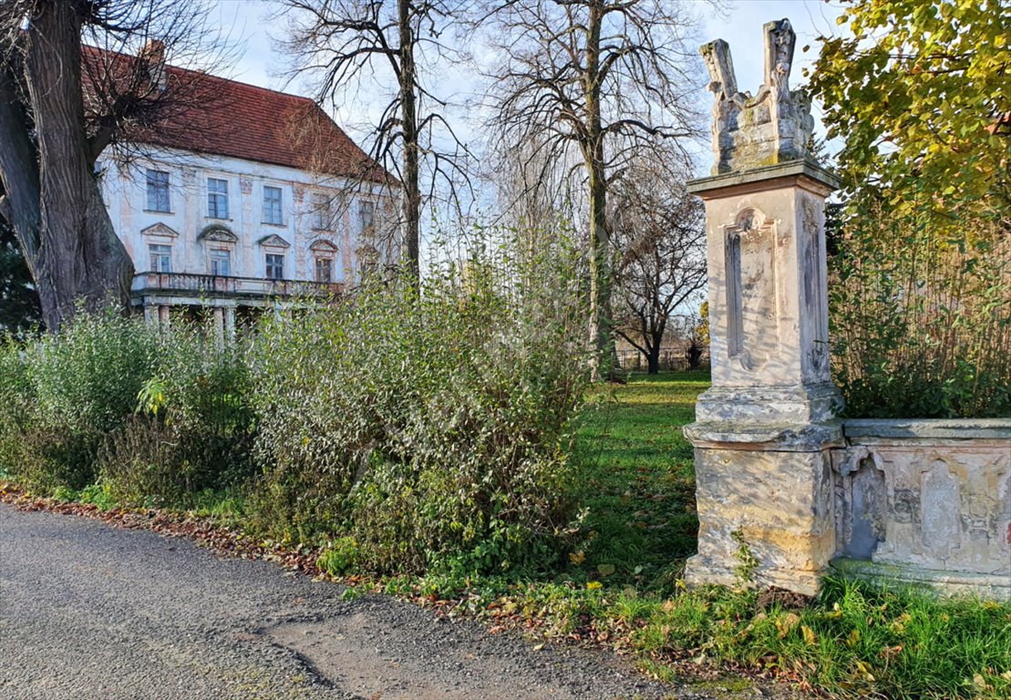 Lokal użytkowy na sprzedaż Szczepanów  3 000m2 Foto 2