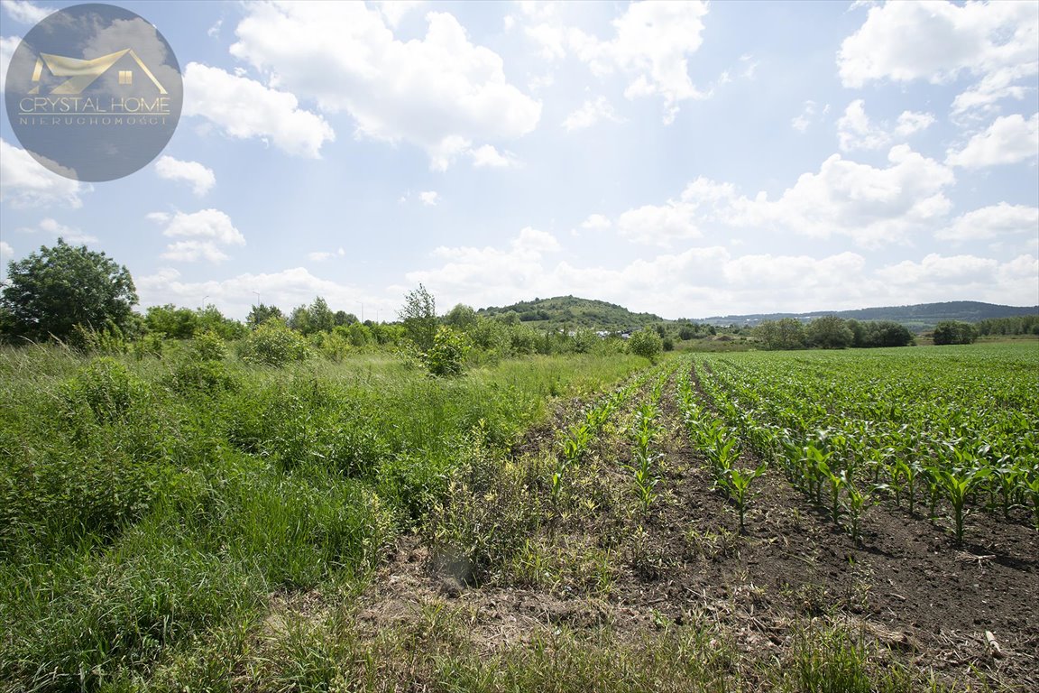 Działka rolna na sprzedaż Bielawa  6 016m2 Foto 2