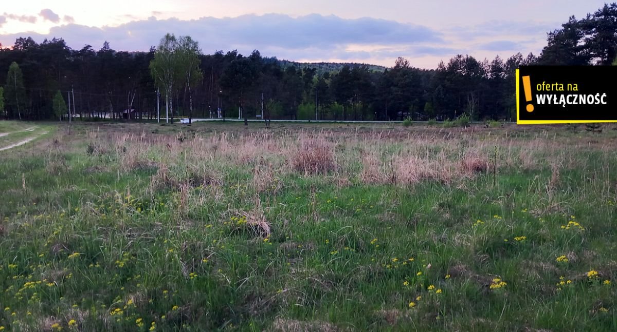 Działka budowlana na sprzedaż Nowa Huta  1 544m2 Foto 5