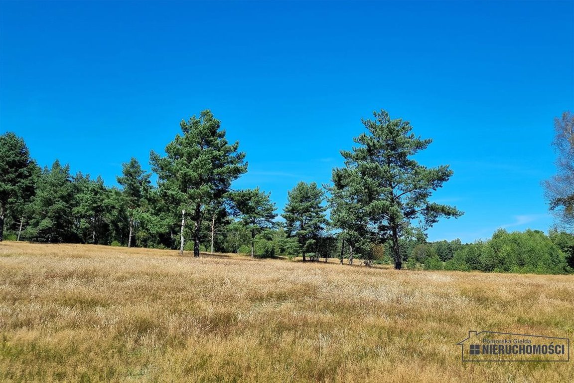 Działka inna na sprzedaż Stare Wierzchowo  18 199m2 Foto 12