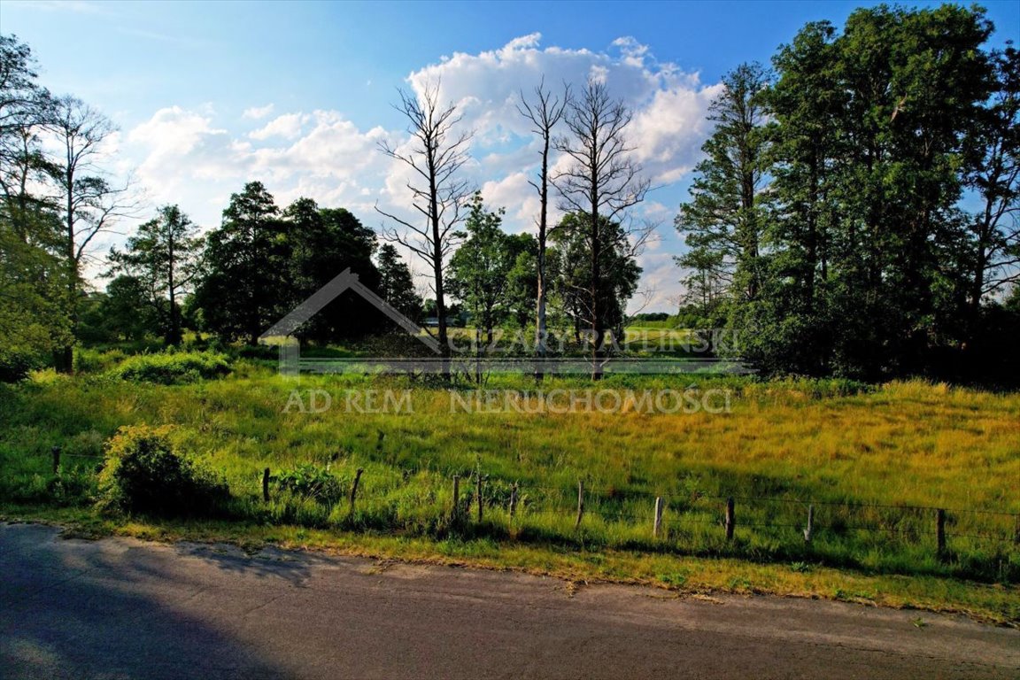 Działka inwestycyjna na sprzedaż Dobratycze-Kolonia, Terespol, Dobratycze-Kolonia  3 960m2 Foto 5