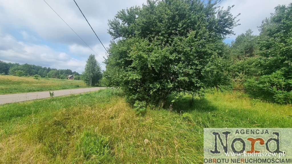Działka 0,88 ha pod zabudowę w otoczeniu Puszczy Augustowskiej Rygol  8 800m2 Foto 1