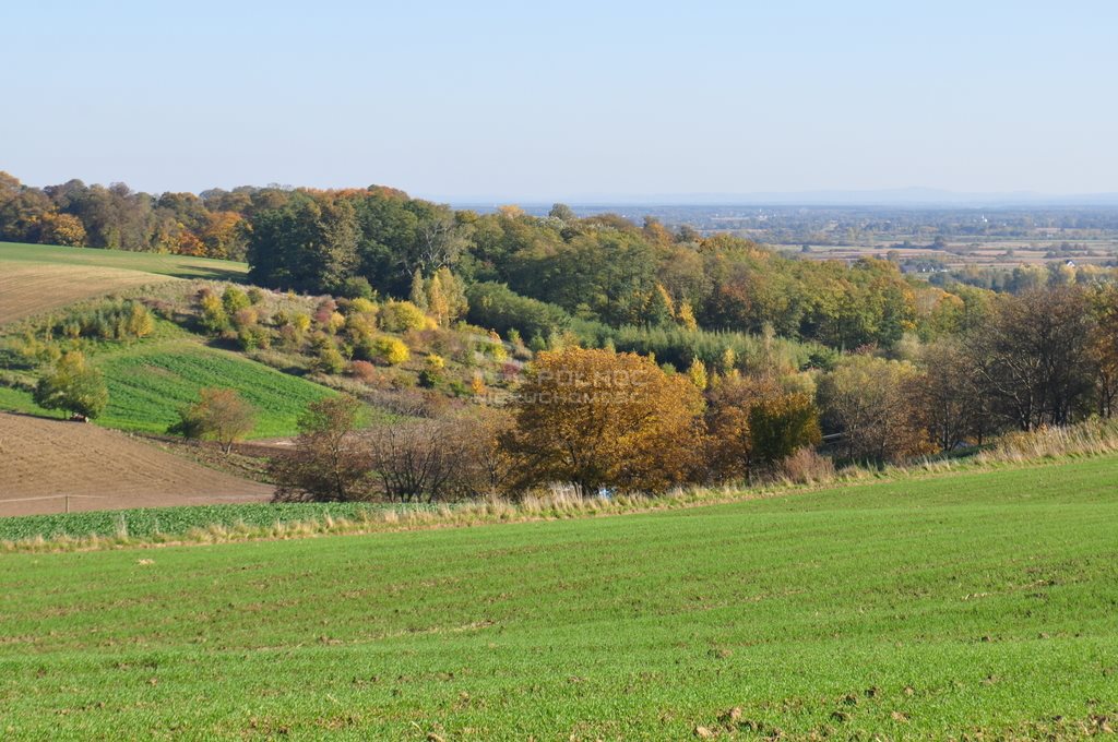 Działka budowlana na sprzedaż Książnice Wielkie  5 700m2 Foto 4