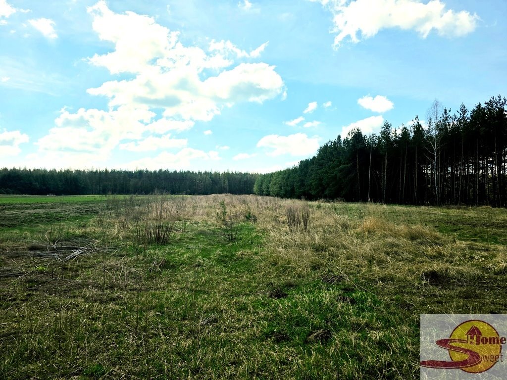 Polecam działkę 5900 m² z możliwością zabudowy w spokojnej okolicy Nowy Jasieniec Iłżecki  5 900m2 Foto 1