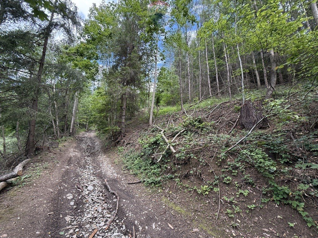 Działka zalesiona pod rekreację i inwestycję, 12 055 m² Krościenko Nad Dunajcem, Jarek  12 055m2 Foto 1