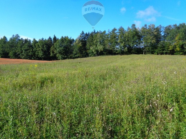 Działka budowlana na sprzedaż Ogrodniki  14 562m2 Foto 15