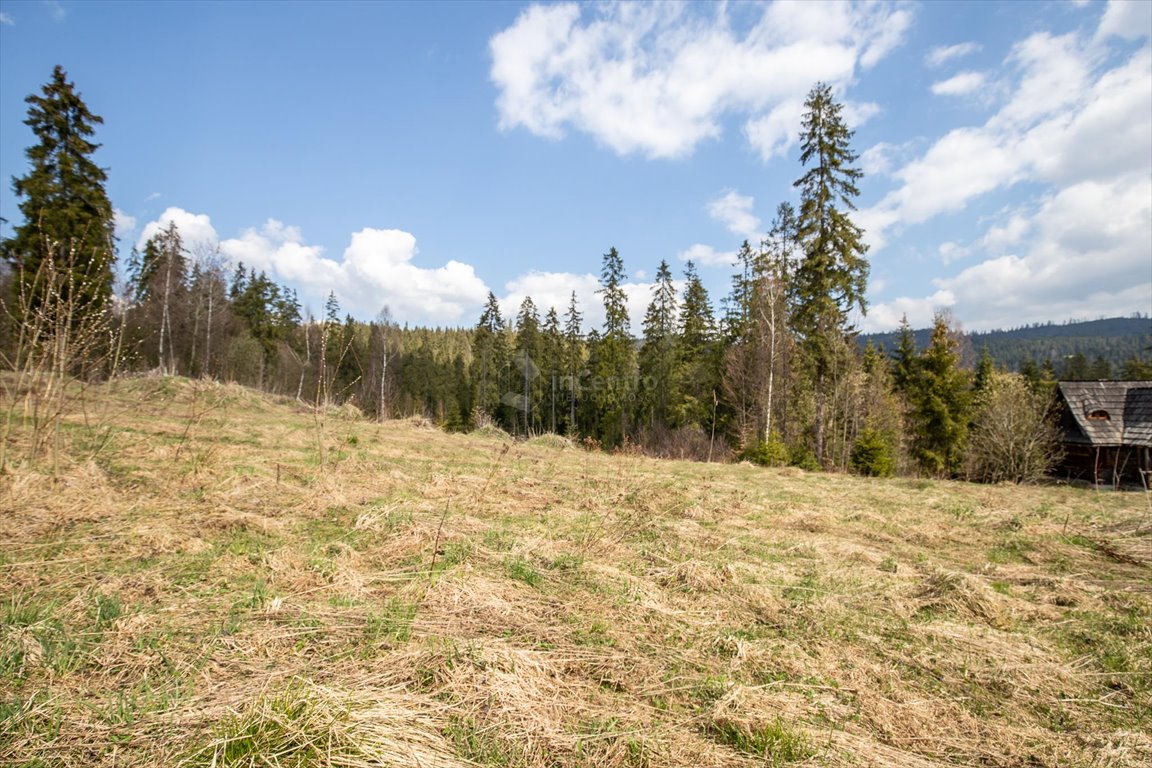 Działka 4046 m² z lasem i widokiem na Tatry w Nowym Targu Nowy Targ, Marfiana Góra, os. Marfiana Góra  4 046m2 Foto 1