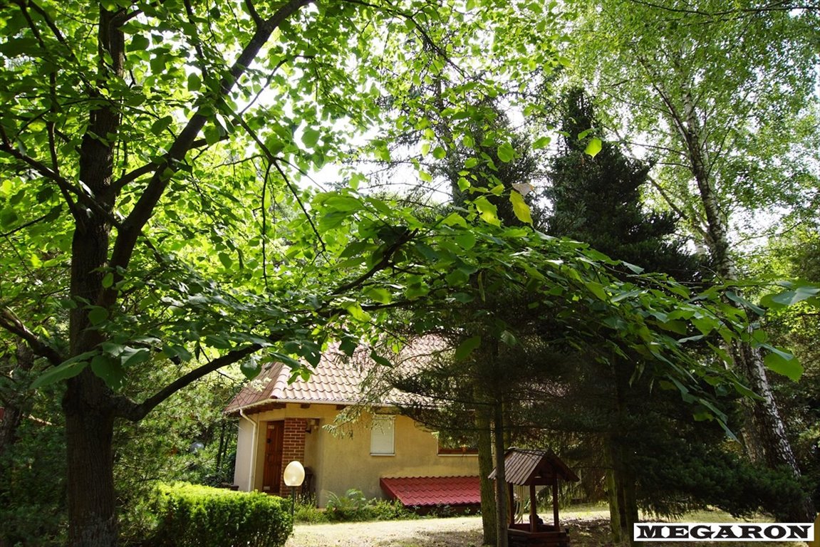 Dom na sprzedaż Raduczyce  80m2 Foto 1