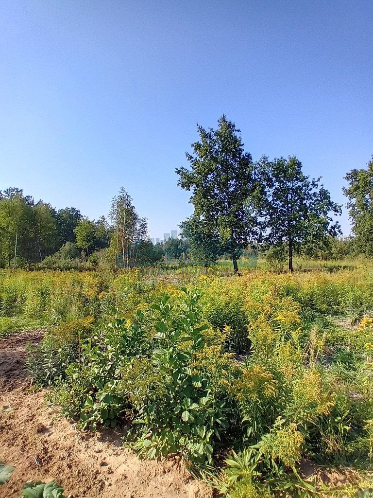 Działka budowlana na sprzedaż Izabelin-Dziekanówek  1 200m2 Foto 4