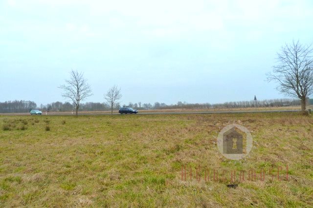 Działka 6500 m² pod inwestycję w Boleminie, blisko Gorzowa Bolemin  6 500m2 Foto 1