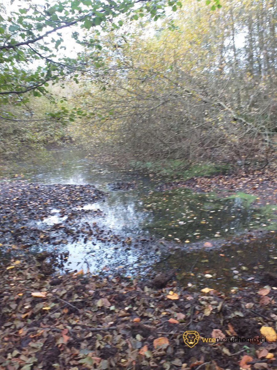 Działka rekreacyjna na sprzedaż Popowo  9 677m2 Foto 6