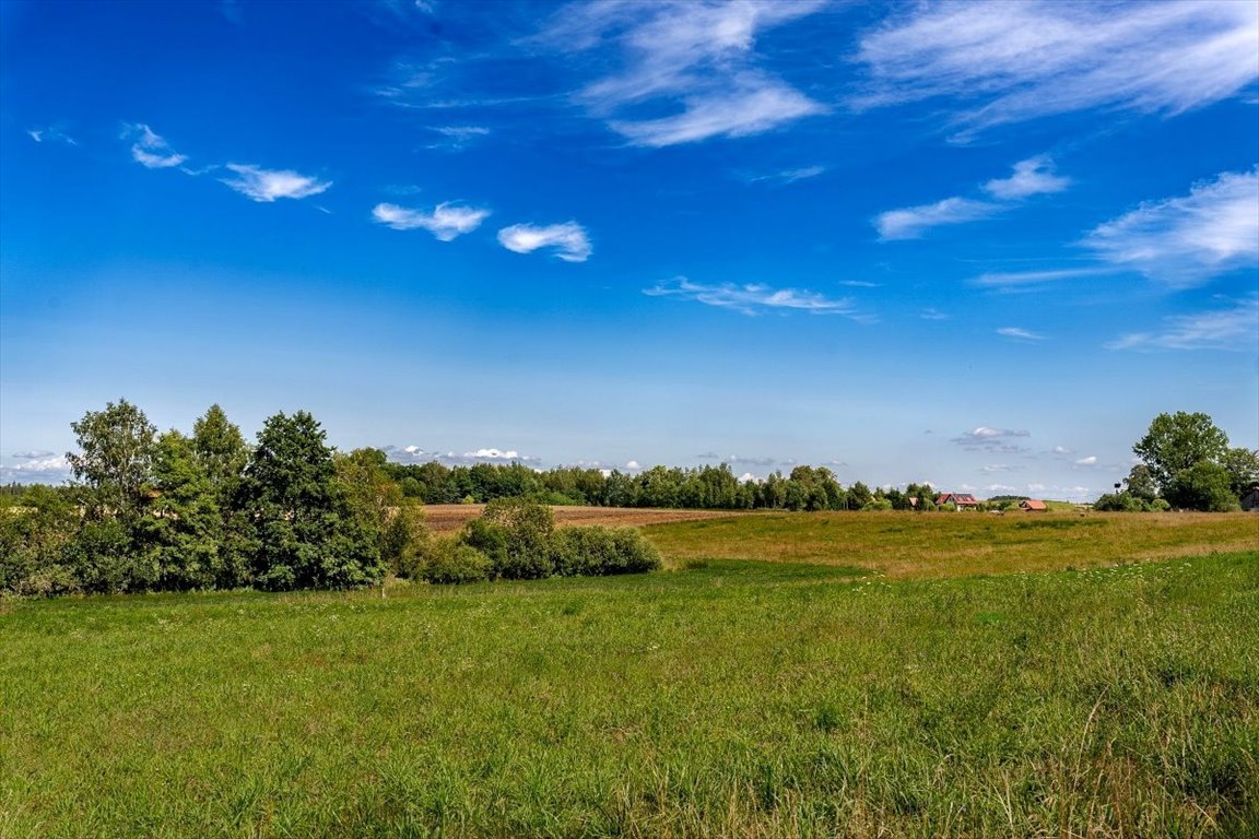 Działka budowlana na sprzedaż Bogacko, Bogacko  3 870m2 Foto 18