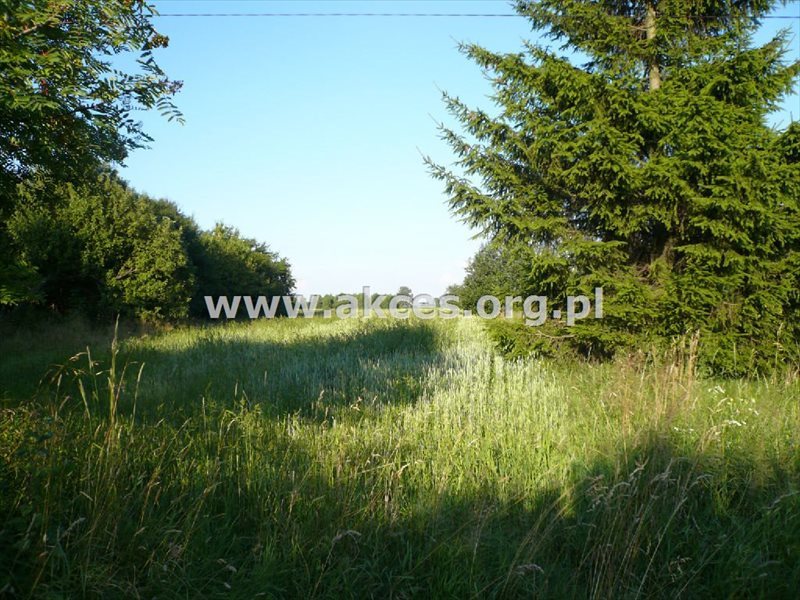 Działka budowlana na sprzedaż Bartoszówka  10 000m2 Foto 2