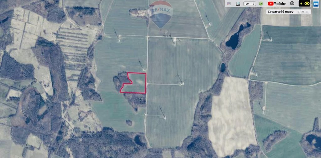 Działka rolna 4,33 ha przy drodze w Widzino Widzino  43 309m2 Foto 1