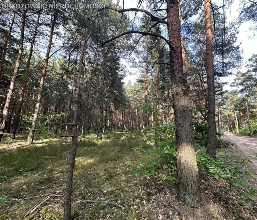 Działka budowlana na sprzedaż Józefów  1 798m2 Foto 2