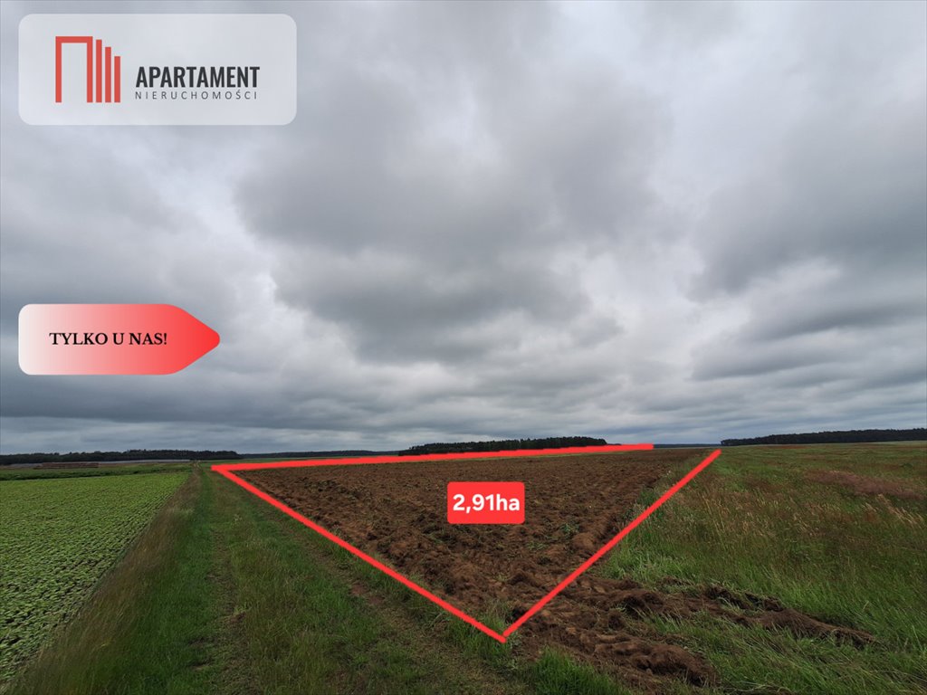 Zapraszam do zakupu działki rolnej 2,91 ha z warunkami zabudowy Pławno  29 100m2 Foto 1