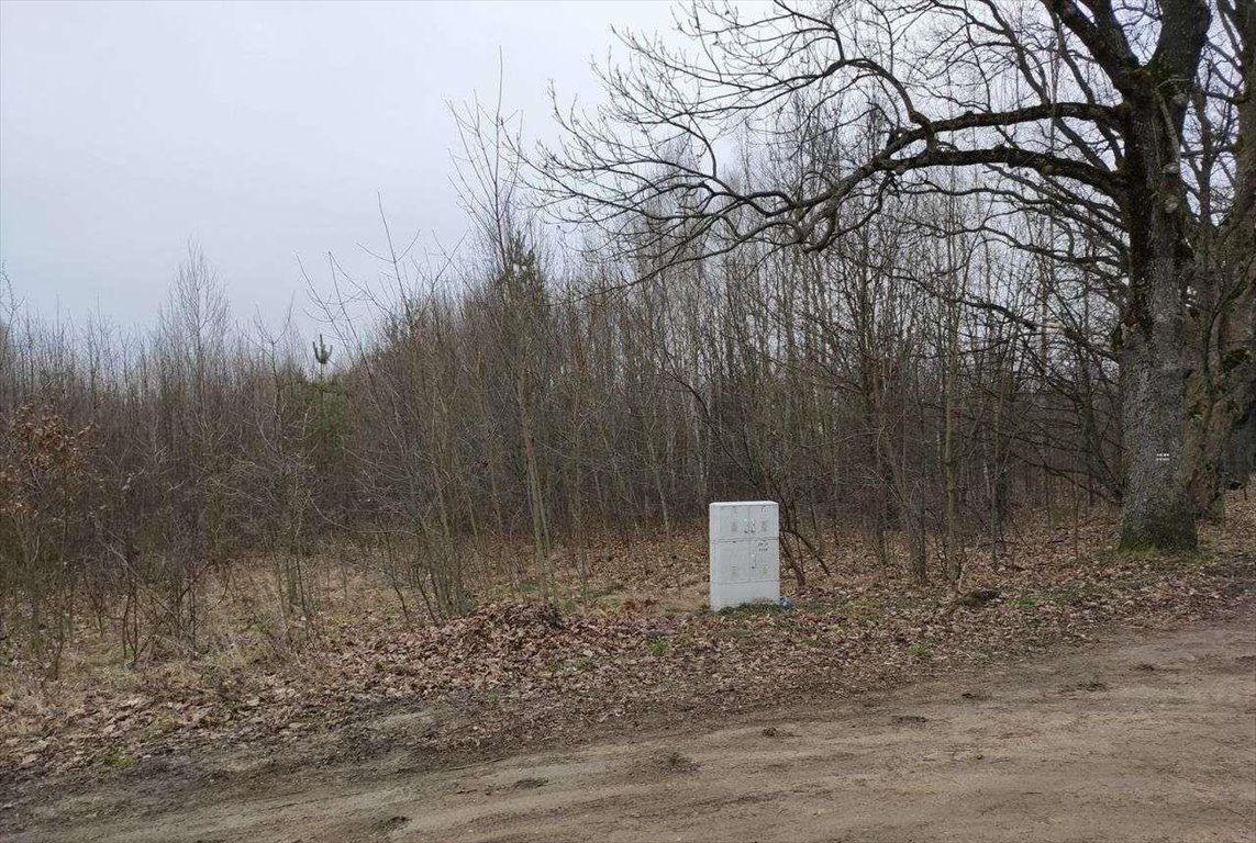 Działka 10 522 m² pod dom, pensjonat, inwestycję Białowieża, ul. Browska  10 522m2 Foto 1