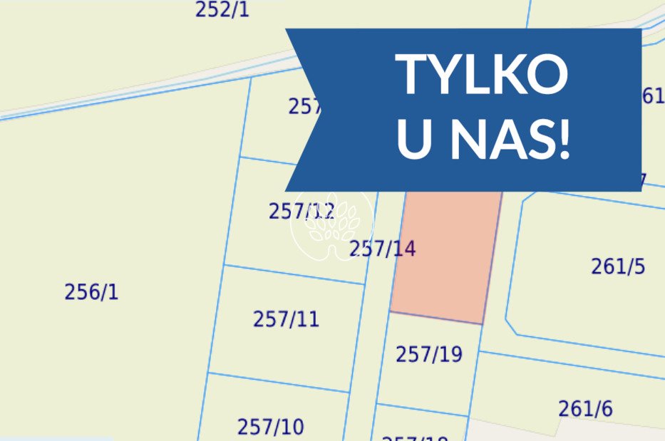 Działka 3530 m² z możliwością podziału i dostępem do prądu Czarnowo  3 530m2 Foto 1