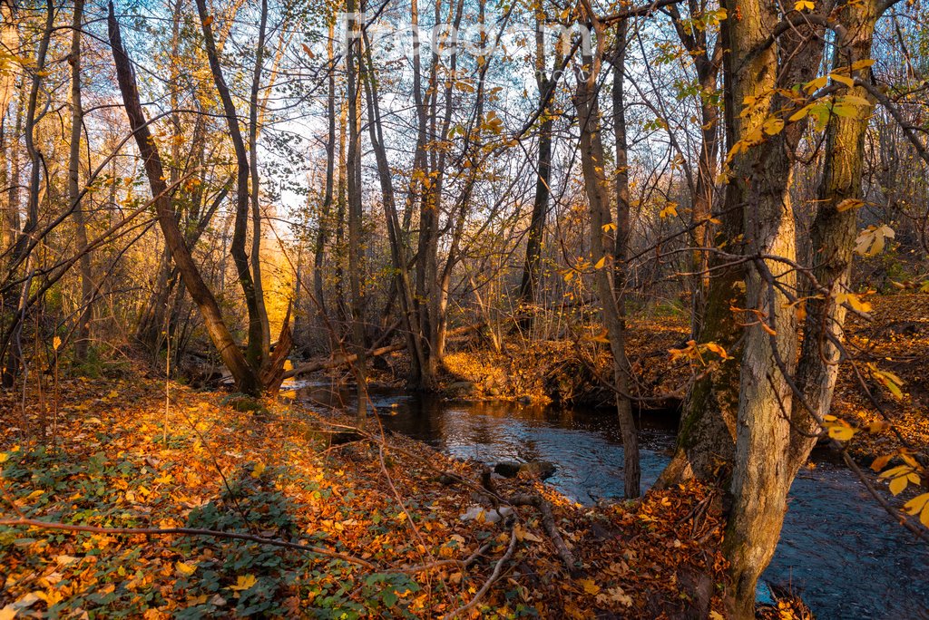 Działka budowlana na sprzedaż Kłodawa, Gdańska  4 251m2 Foto 7