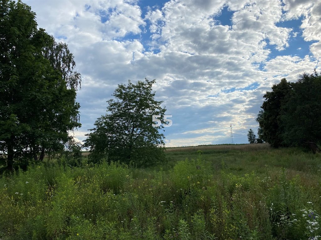 Działka budowlana na sprzedaż Lutomiersk  2 000m2 Foto 1