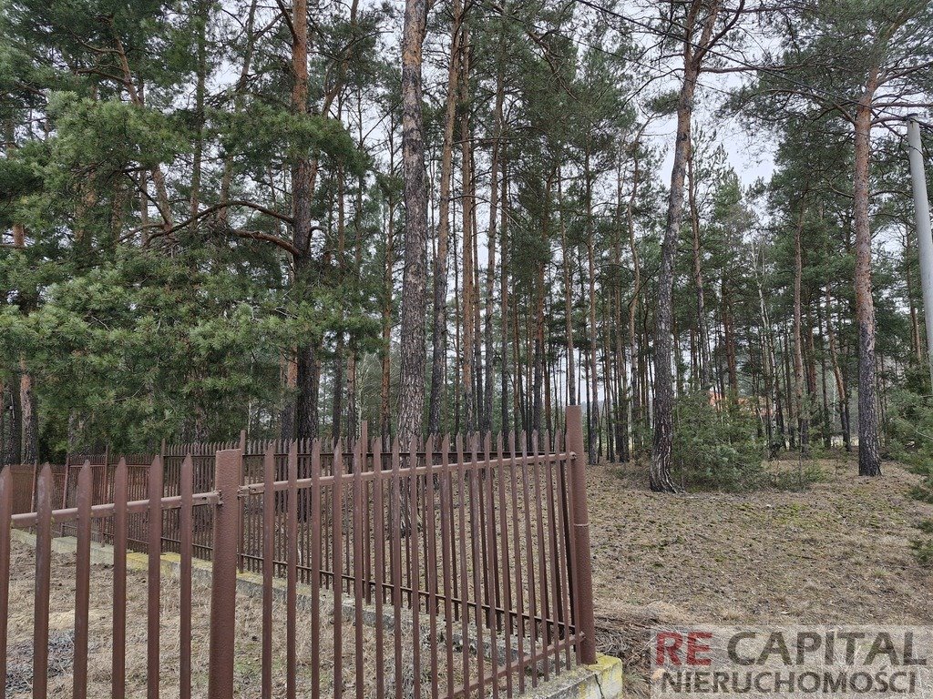 Działka inwestycyjna na sprzedaż Adelin  3 731m2 Foto 4