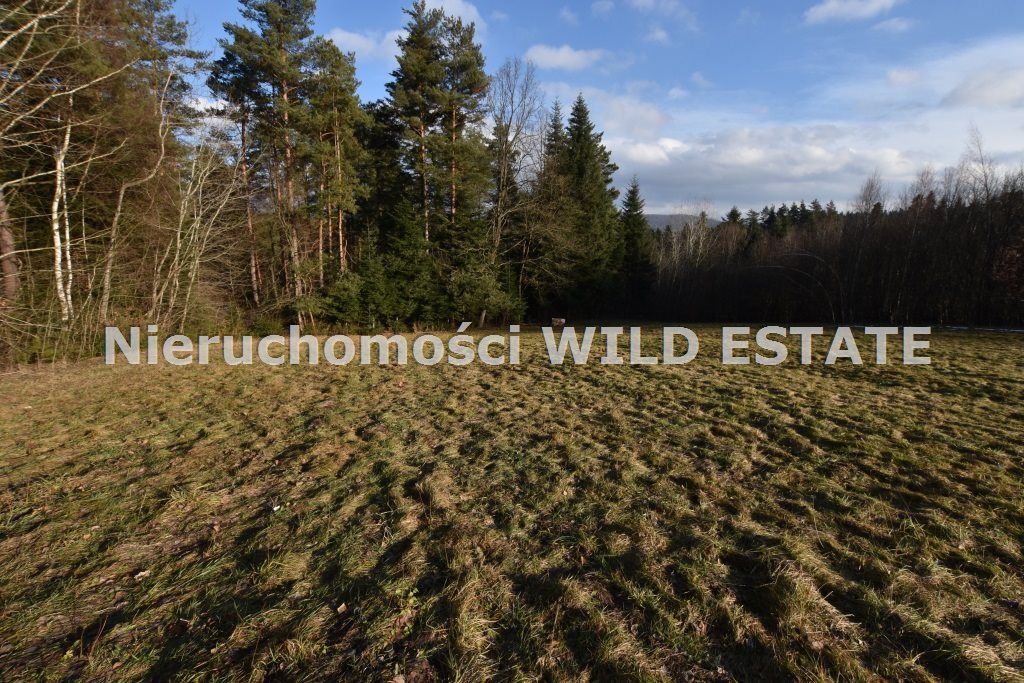 Działka pod turystykę w Weremieniu, 1,09 ha, blisko wyciągu Lesko, Weremień  10 900m2 Foto 1